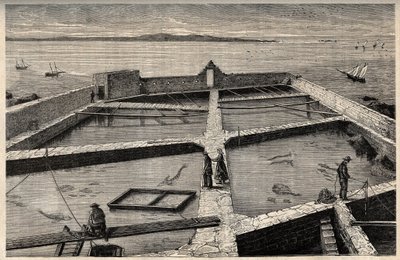 Chov ryb v Concarneau - Bretaň - Establishment de pisciculture - Concarneau - Finistere - Bretaň - rytina „“ PATRIE“ - PICTUREQUIRESSE POPIS FRANCIE V 6 SVAZTECH LUCIEN HUARD - konec 19. stol. od French School