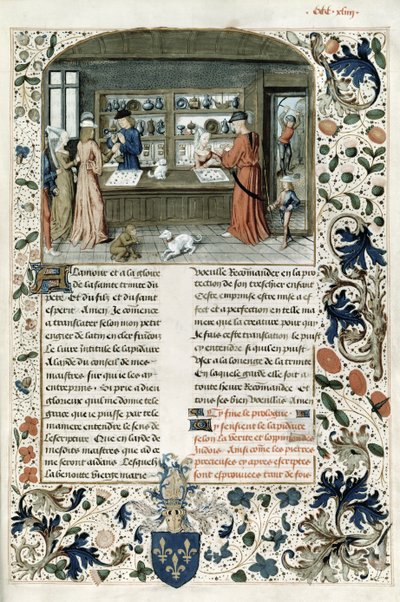 Fr 9136 f.344 Klenotnictví, z Lapidaire de Mandeville od French School
