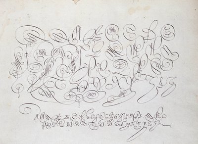 Francouzská kaligrafie: Deska kapitálu, rytina Frisia, kalkografa krále od Roberta Vignona v zahradě písma kolem roku 1600. od French School
