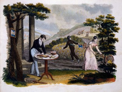 Frontispis z Les Papillons... od Eugena Ballanda (1796-c.1850), vydal P. Blanchard, Lecerf, Paříž, 1823 (barevná rytina) od French School
