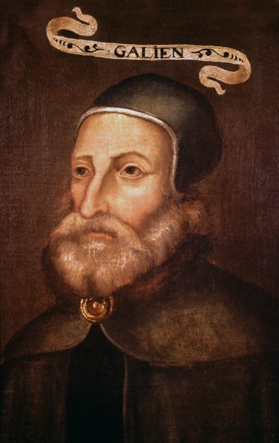 Galen. 17. století (malba) od French School