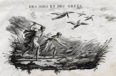 Husy a jeřábi - Fable d