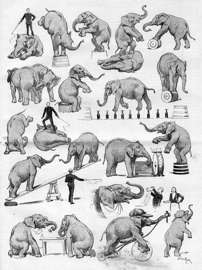Cirkus Geo Lockhart známý svými slony se usadil v Hippodrome de Paris, v „“The Illustrious World“ od French School