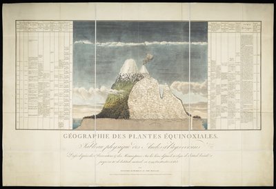 Geografie rovnodenných rostlin od French School