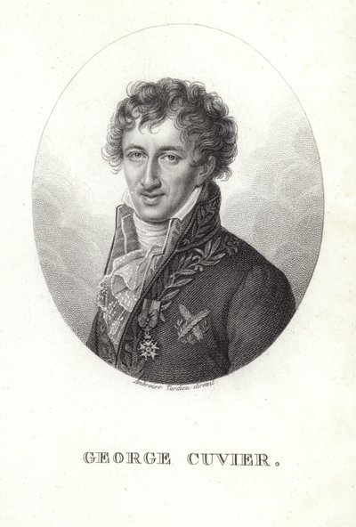 George Cuvier od French School