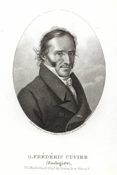 George Cuvier od French School
