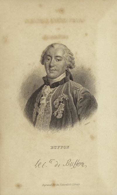 Georges-Louis Leclerc, hrabě z Buffonu od French School