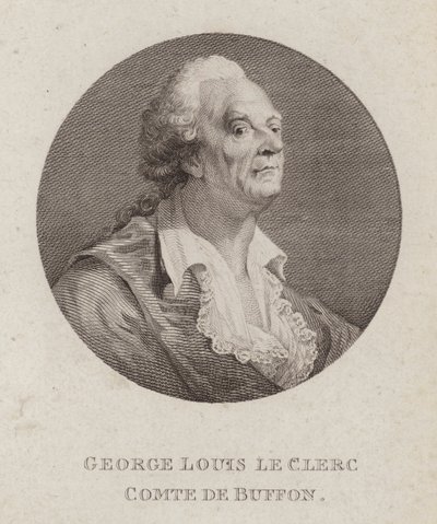 Georges-Louis Leclerc, Comte de Buffon, francouzský přírodovědec (rytina) od French School