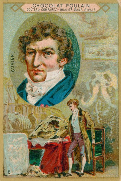 Georges cuvier od French School