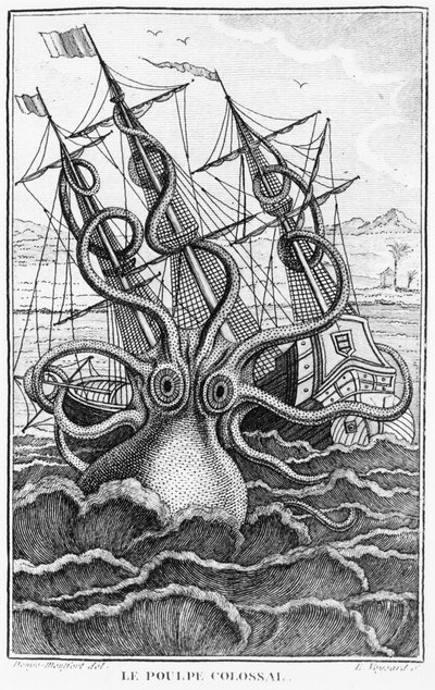 Obří chobotnice, ilustrace z LHistoire Naturelle Generale et Particuliere des Mollusques od Denyse-Montforta, c. 1802-03 od French School