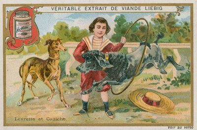 Greyhound a pudl od French School