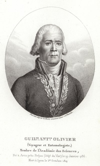 Guillaume Antoine Olivier od French School