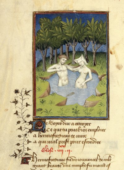 Harley MS 4431, f.132v, Miniatura Hermafrodita a nymfy Salmacis koupající se v jezeře, z 