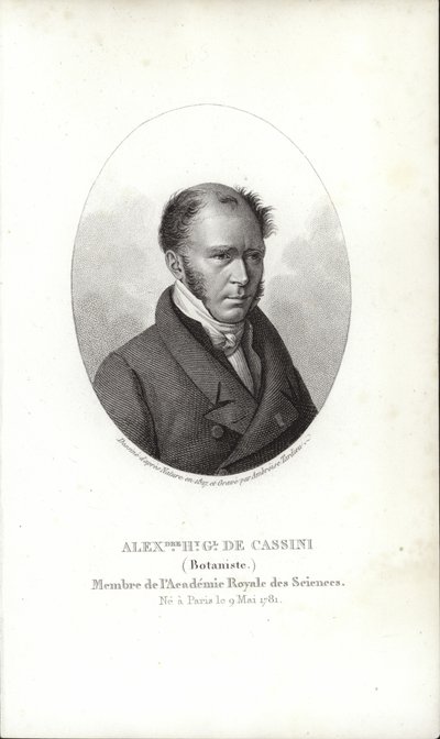 Henry Cassini od French School