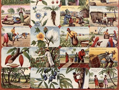 Ilustrace pro francouzskou školní učebnici různých produktů kolonií, c.1920-30 od French School