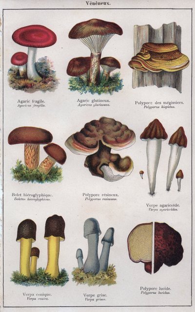 Ilustrace k knize "mon docteur - traite de medecine et d