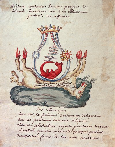 Ilustrace z knihy Klíč velké vědy o neznámém filosofickém díle aneb Věčná obnova věcí v hnilobě (tuš a čb na papíře) od French School