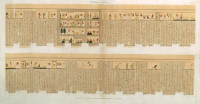 Ilustrace rukopisu Pampus s hieroglyfy, Hypogees, Théby, deska 75 ze svazku II `Descriptions of Egypt`, vyryl Willemin, pub. 1822 (akvatinta) od French School