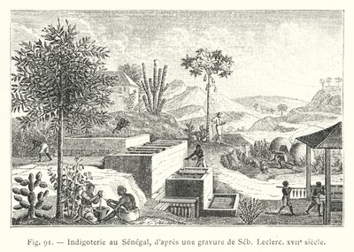 Indigoterie v Senegalu, podle rytiny Seb, Leclerc, 17. století (rytina) od French School