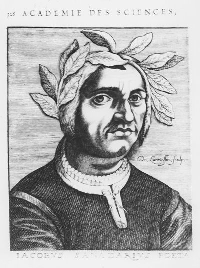 Jacopo Sannazaro (rytina) od French School