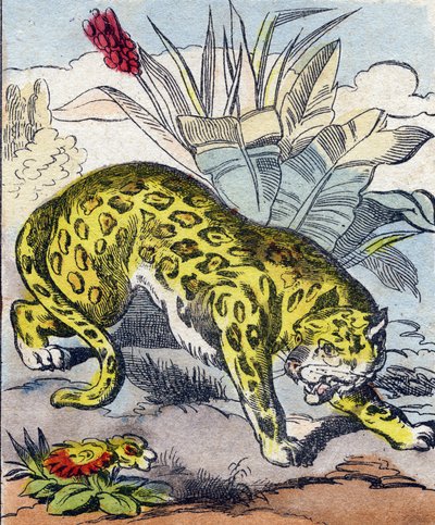 Jaguár. Rytina v „Buffon Alphabet des Animaux". 3. série N 1. Imaging of Epinal, Epinal, konec 19. století. 16 stran. Rozměr: 28x21cm od French School