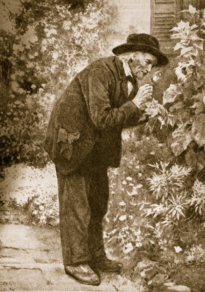 Jean-Henri Fabre pozorující hmyz od French School