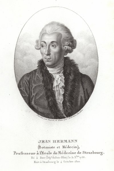 Jean Hermannová od French School