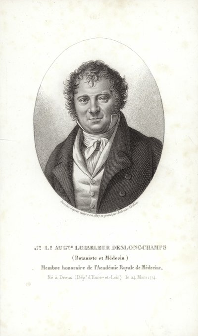 Jean Louis August Loiseleur-Deslongchamps od French School