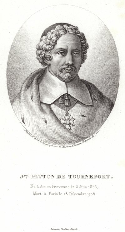 Joseph Pitton de Tournefort od French School