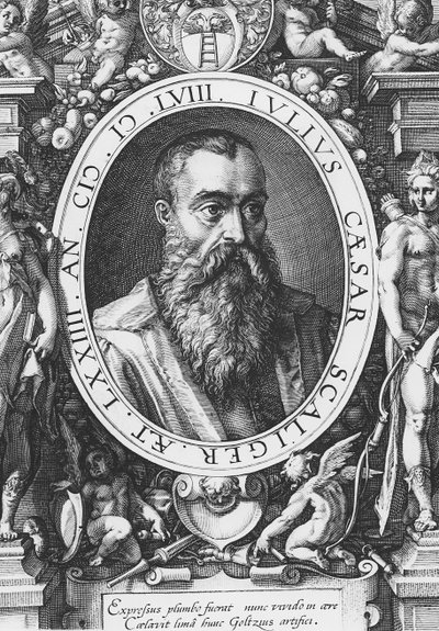 Julius Caesar Scaliger (rytina) od French School