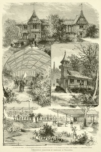Lesnická a zahradnická výstava na Trocaderu (rytina) od French School