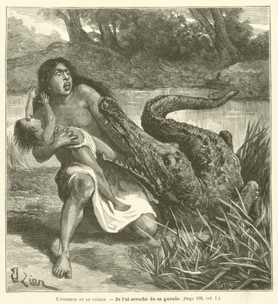 Indián a kajman (rytina) od French School