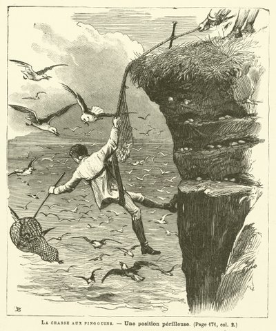 The Penguin Hunt (rytina) od French School