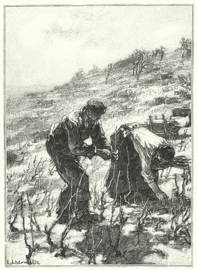 Pruning The Vines (rytina) od French School