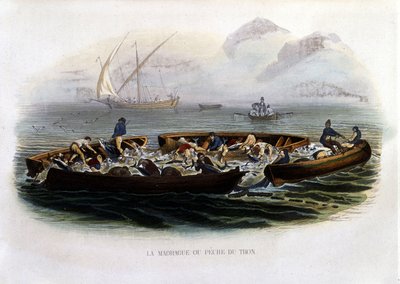 Past nebo lov tuňáků – v “”Přírodní historii Lacepède”” od French School