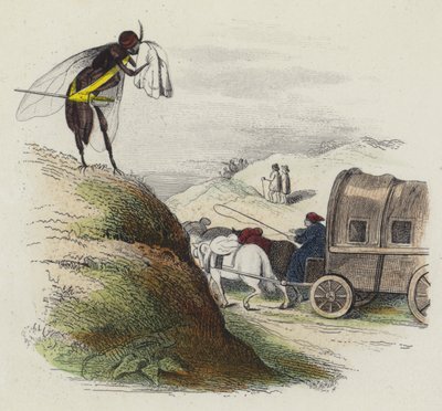 The Coach And The Fly (barevná rytina) od French School