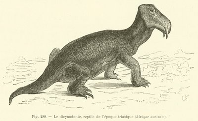 Dicynodont, plaz z období triasu, jižní Afrika (rytina) od French School