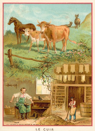 Kůže (chromolitho) od French School