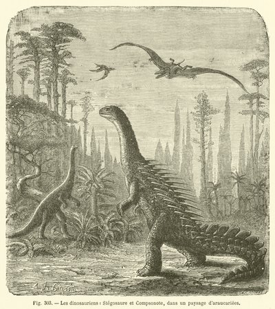 Dinosauři, Stegosaurus a Compsonote, v krajině Araucaria (rytina) od French School