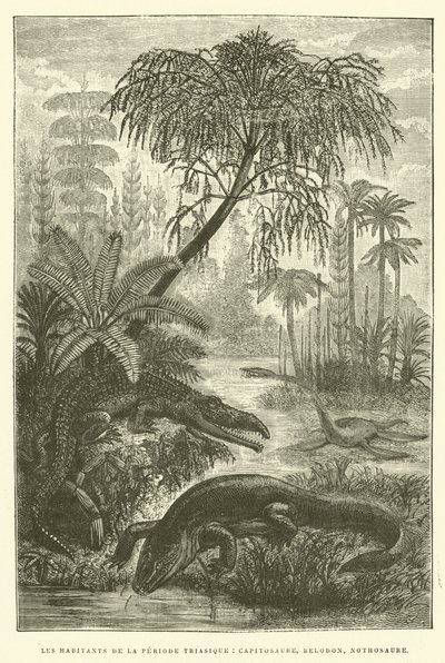 Obyvatelé období triasu, capitosaurus, belodon, nothosaurus (rytina) od French School
