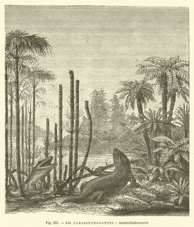 Les labyrinthodontes, mastodontosaures (rytina) od French School