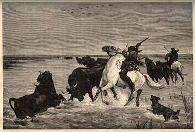 Býci (plemeno skotu) z camargue po malbě vayson- rytina „“ PATRIE“ - rytina „“ PATILE““ - POPIS PINTUREQUIRESSE DE LA FRANCE V 6 SVAZTECH LUCIEN HUARD - konec 19. stol. od French School