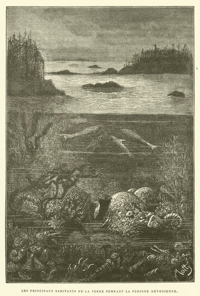 Hlavní obyvatelé země během devonského období (rytina) od French School