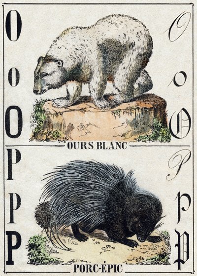 Písmeno O medvěd; P Vepřo-epos (Pig epos). Gravírování v „“Abeceda zvířat sauvages““. 9. série. Obrázky Epinal, Pellerin, tiskárna-nakladatel, kolem roku 1870. Rytiny na dřevě, šablona. 16 stran. Rozměr: 20 x 15 cm. Soukromá sbírka od French School