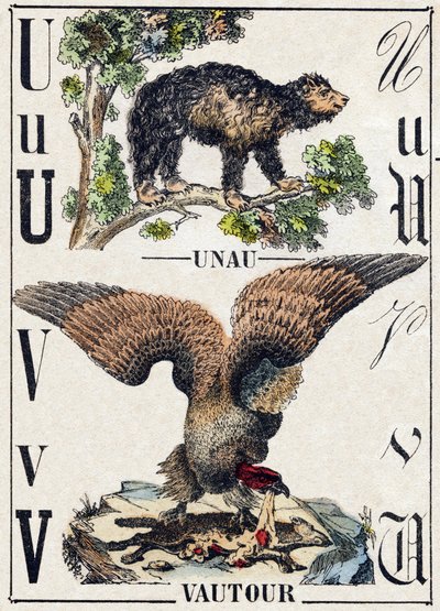Písmeno U Unau (líný); V Vulture. Gravírování v „“Abeceda zvířat sauvages““. 9. série. Obrázky Epinal, Pellerin, tiskárna-nakladatel, kolem roku 1870. Rytiny na dřevě, šablona. 16 stran. Rozměr: 20 x 15 cm. Soukromá sbírka od French School