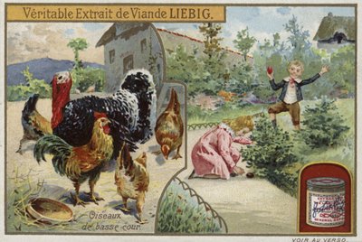 Liebigova karta s drůbeží od French School