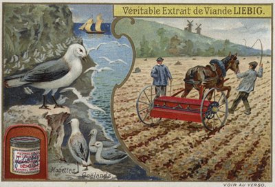 Liebig karta s mořskými ptáky od French School