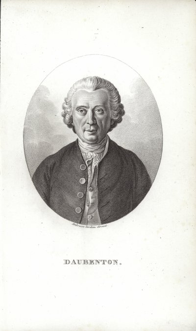Louis-Jean-Marie Daubenton od French School