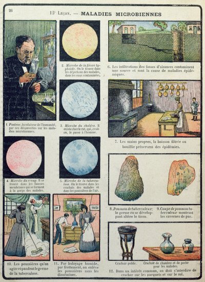Louis Pasteur (1822-95) a bakteriální choroby, z Les Sciences Physiques et Naturelles, Paříž, 1908 od French School