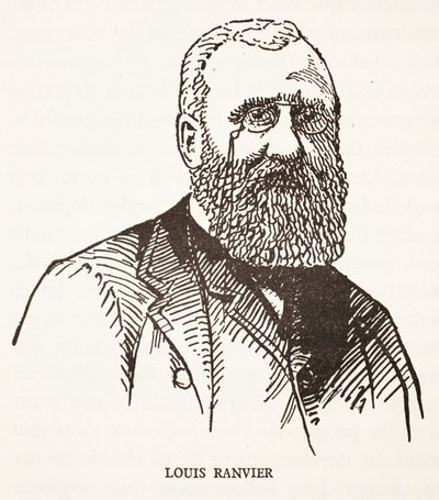 Louis Ranvier od French School